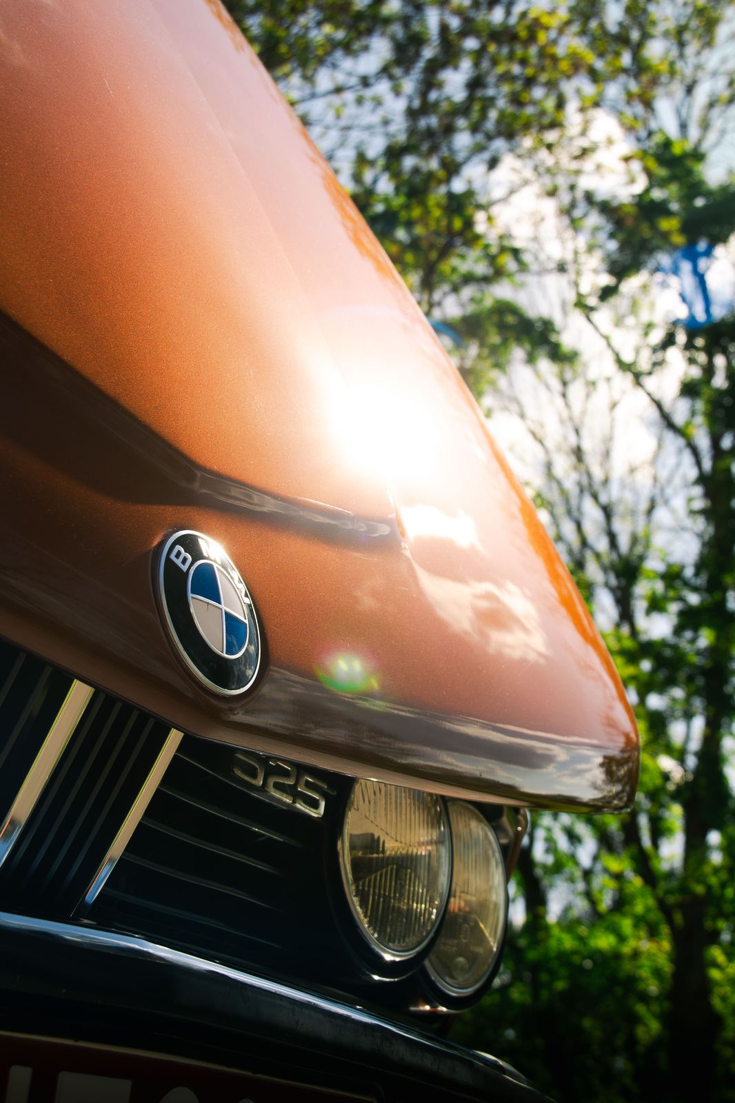 Automotive photograph — IMG_0493.jpg