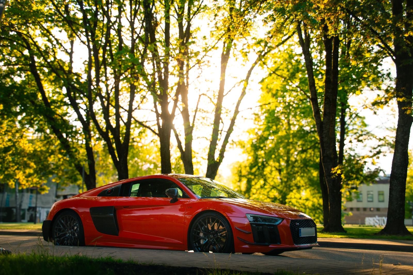 Red Audi R8 among park trees